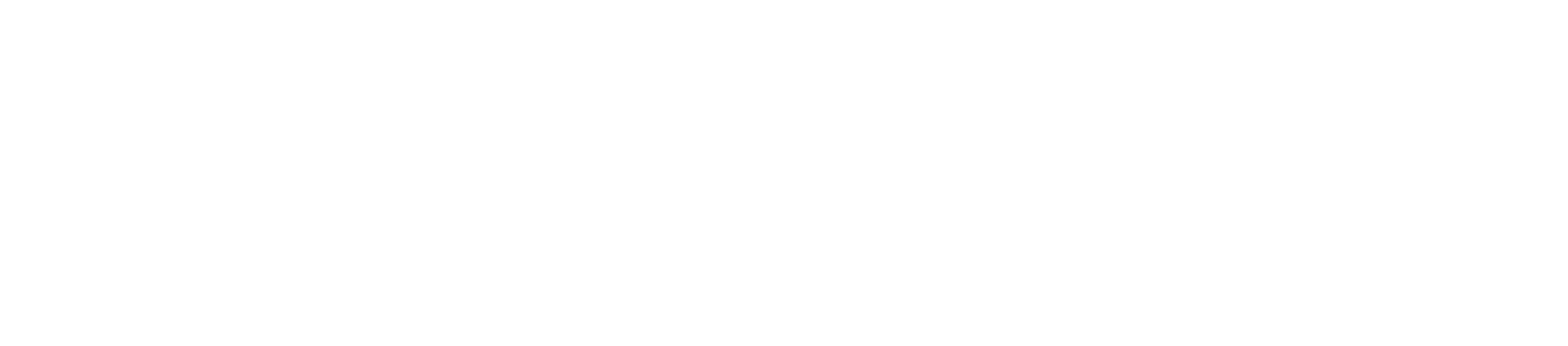 AMIRL Logo